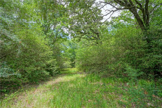 8299 County Road 179, Richards, TX 77873