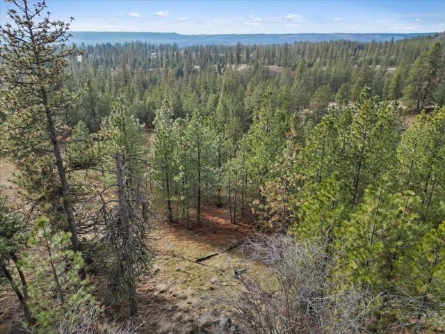 NKA Lower Weaver Way, Deer Park, WA 99006