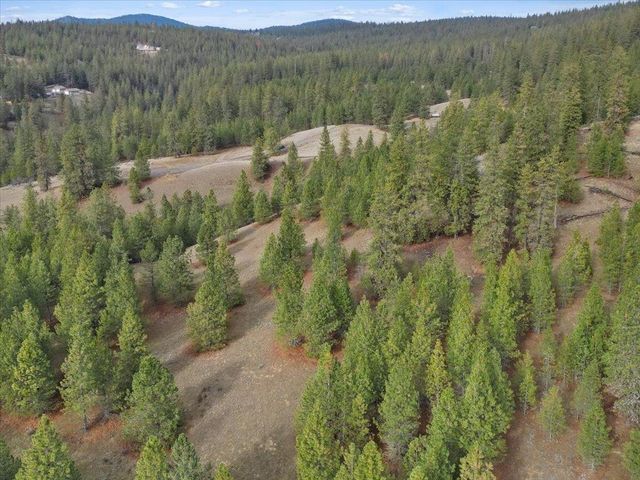 NKA Lower Weaver Way, Deer Park, WA 99006