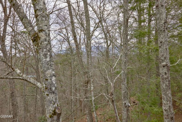 319 Poplar Point Way, Gatlinburg, TN 37738