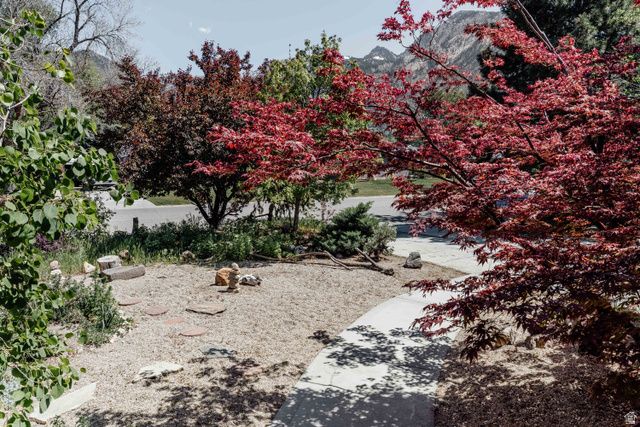 4010 S OLYMPIC WAY, Holladay, UT 84124