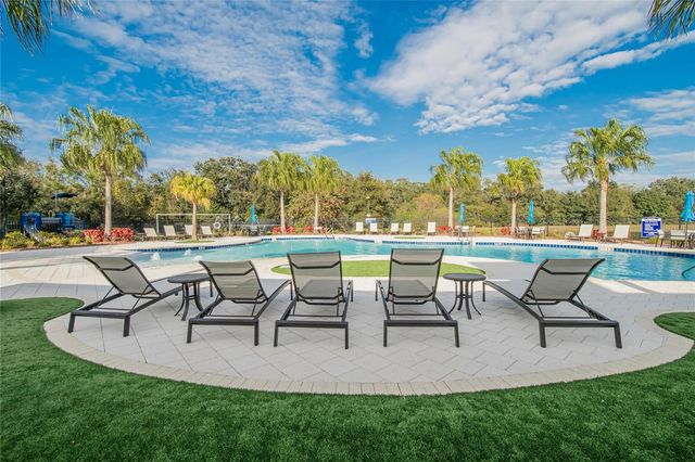 10435 ALCON BLUE DRIVE, Riverview, FL 33578