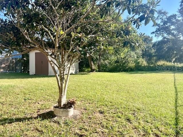 1620 SUNBURST WAY, Kissimmee, FL 34744