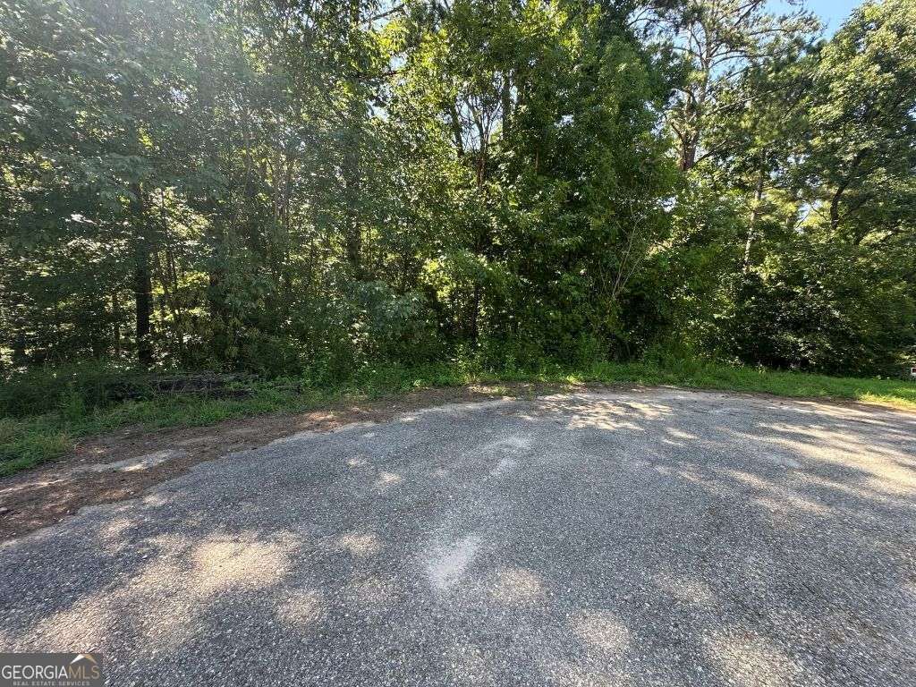 0 River Bend Drive, Carlton, GA 30627 — exterior