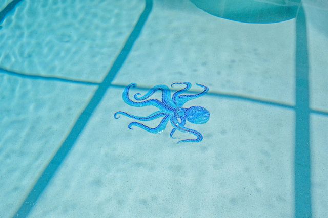 1184 Overdale Rd, St Augustine, FL 32080