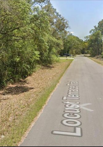 TBD LOCUST LOOP TERRACE, Ocala, FL 34472