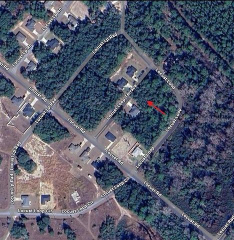 TBD LOCUST LOOP TERRACE, Ocala, FL 34472