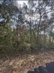 TBD LOCUST LOOP TERRACE, Ocala, FL 34472