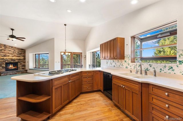 48 Walden Lake Circle, Divide, CO 80814