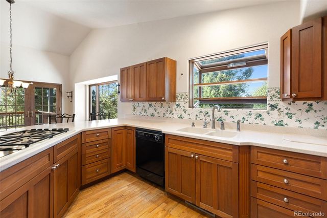 48 Walden Lake Circle, Divide, CO 80814