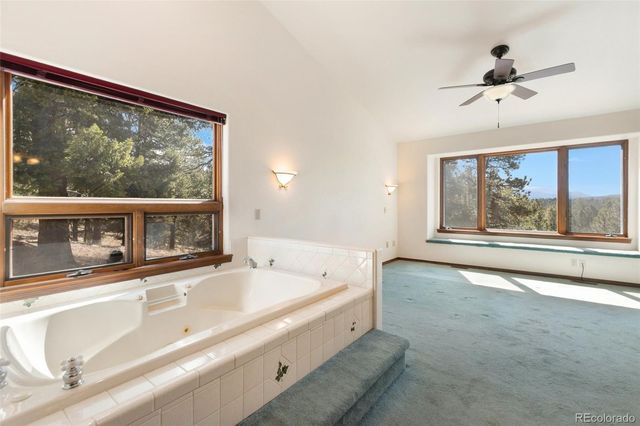 48 Walden Lake Circle, Divide, CO 80814