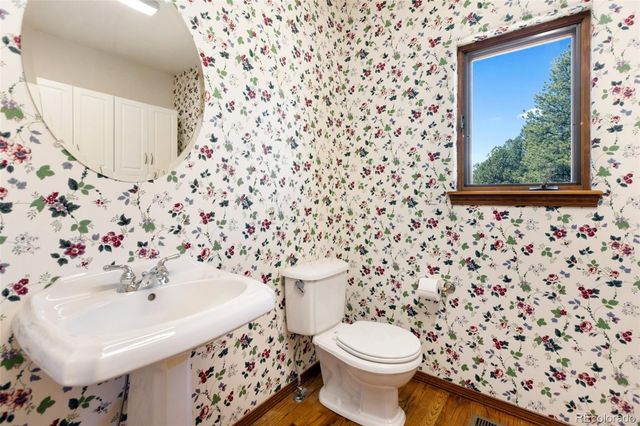 48 Walden Lake Circle, Divide, CO 80814