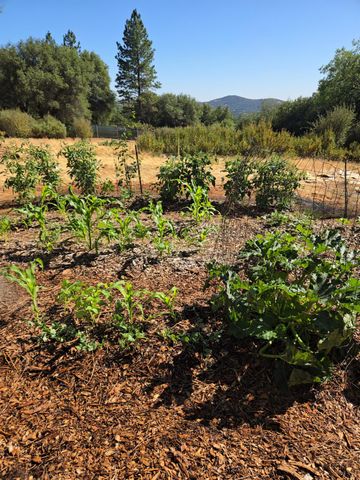 6880 Kahala Rd, Garden Valley, CA 95633