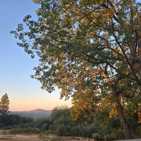 6880 Kahala Rd, Garden Valley, CA 95633