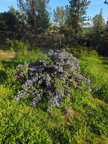 6880 Kahala Rd, Garden Valley, CA 95633