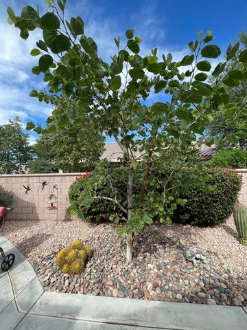 78916 Lavender Circle, Palm Desert, CA 92211