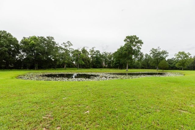 114 Holmes Road, Lumberton, TX 77657