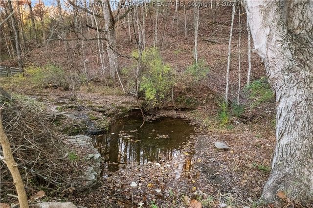 12555 McLane Pike, Liberty, WV 25124