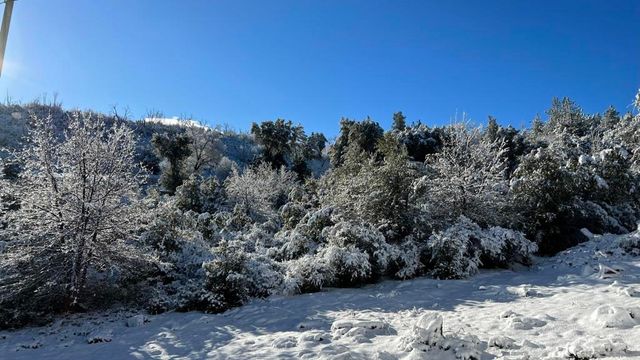 17009 Iron Springs Rd, Julian, CA 92036