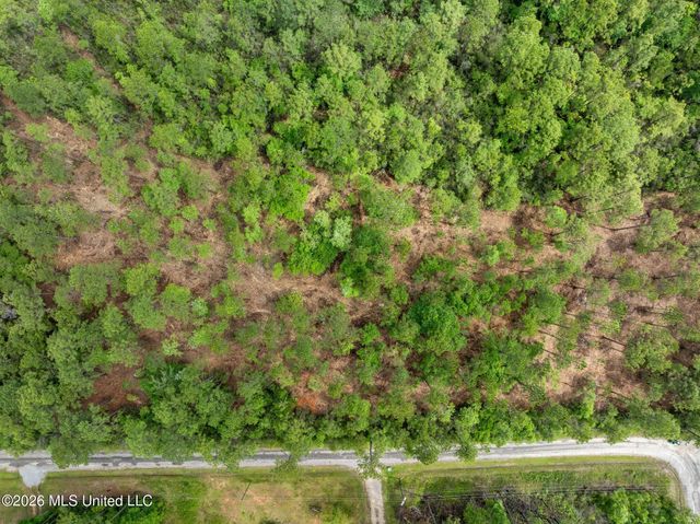 80 Acres Blue Wood Dr, Vancleave, MS 39565
