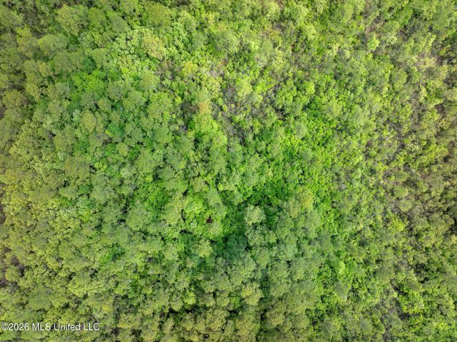80 Acres Blue Wood Dr, Vancleave, MS 39565