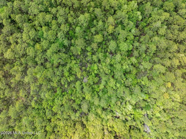 80 Acres Blue Wood Dr, Vancleave, MS 39565