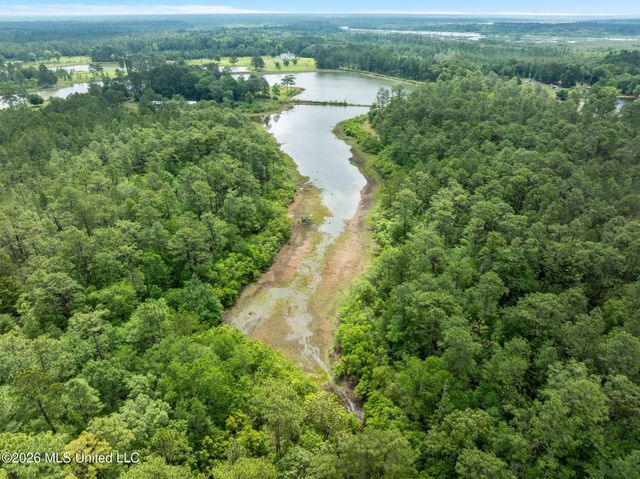 80 Acres Blue Wood Dr, Vancleave, MS 39565