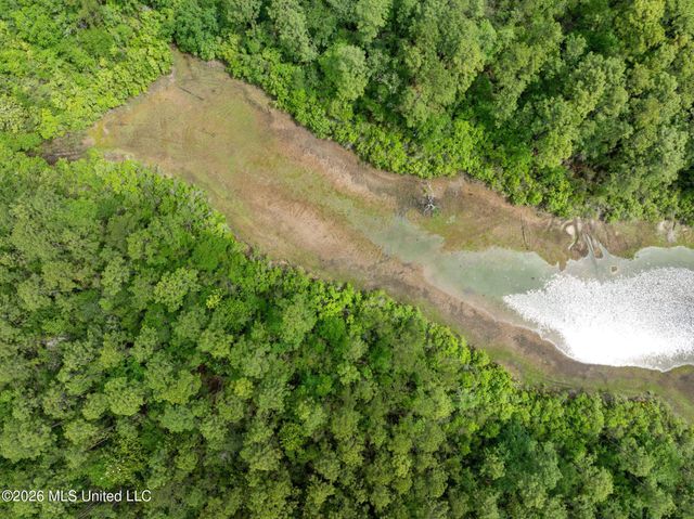 80 Acres Blue Wood Dr, Vancleave, MS 39565
