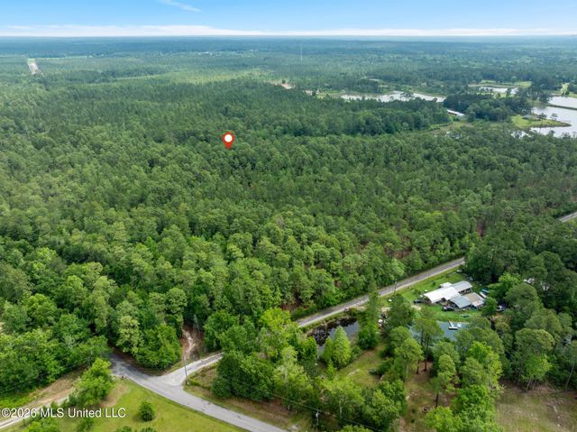 80 Acres Blue Wood Dr, Vancleave, MS 39565