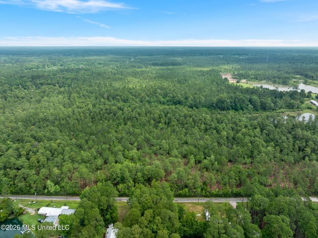 80 Acres Blue Wood Dr, Vancleave, MS 39565