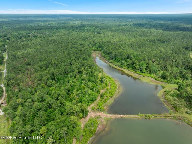 80 Acres Blue Wood Dr, Vancleave, MS 39565
