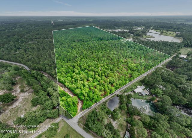 80 Acres Blue Wood Dr, Vancleave, MS 39565