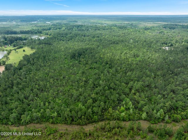 80 Acres Blue Wood Dr, Vancleave, MS 39565