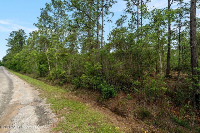 80 Acres Blue Wood Dr, Vancleave, MS 39565