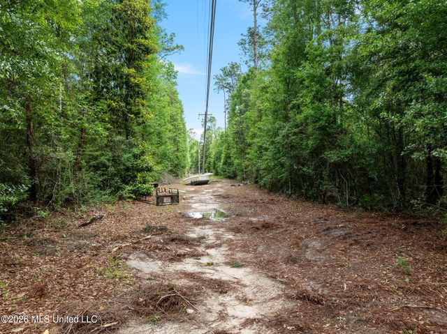 80 Acres Blue Wood Dr, Vancleave, MS 39565