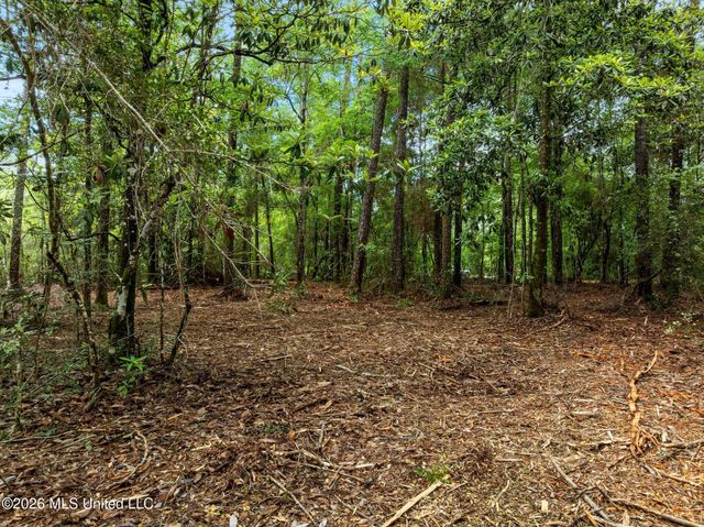 80 Acres Blue Wood Dr, Vancleave, MS 39565