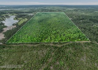 80 Acres Blue Wood Dr, Vancleave, MS 39565