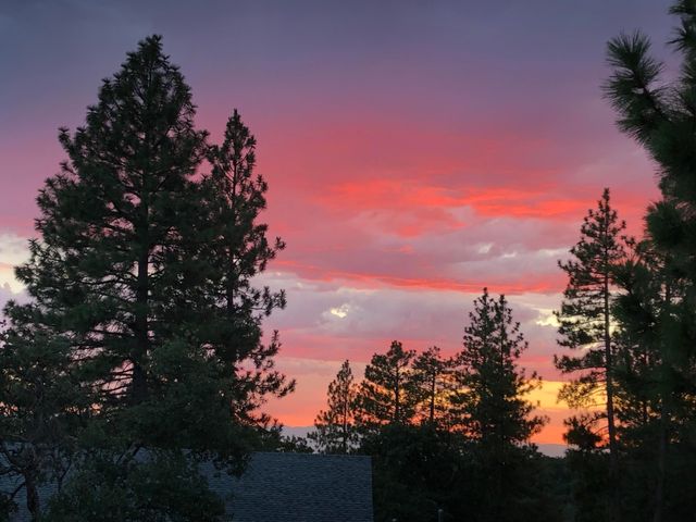 6360 Wilson Hill Road, Shingletown, CA 96088