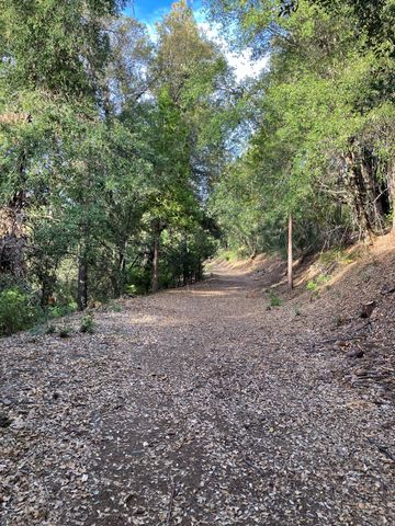 6360 Wilson Hill Road, Shingletown, CA 96088