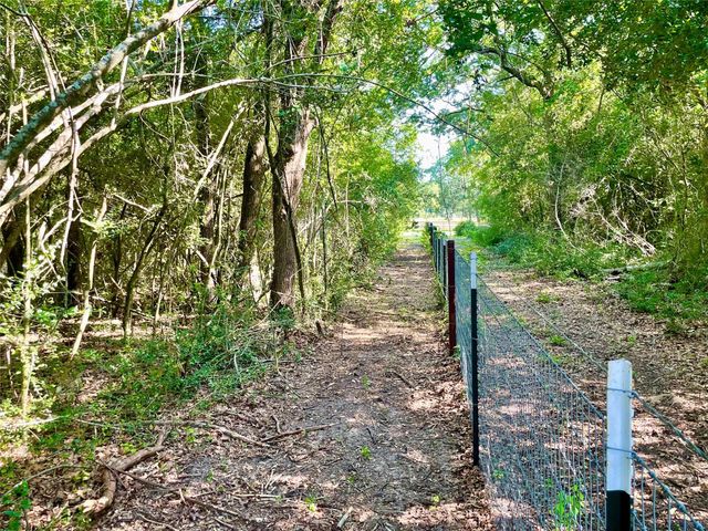 9242 Stetson Drive, Normangee, TX 77871