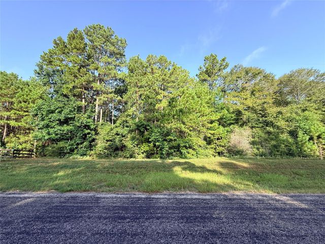 177 Sundog Road, Huntsville, TX 77340