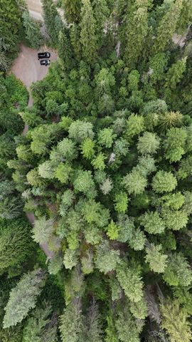 184XX E Elliott Rd, Mead, WA 99021