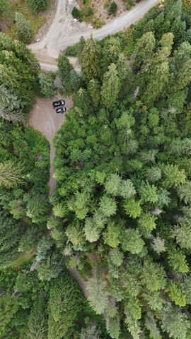 184XX E Elliott Rd, Mead, WA 99021