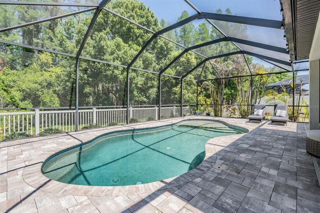 19545 POST ISLAND LOOP, Land O Lakes, FL 34638