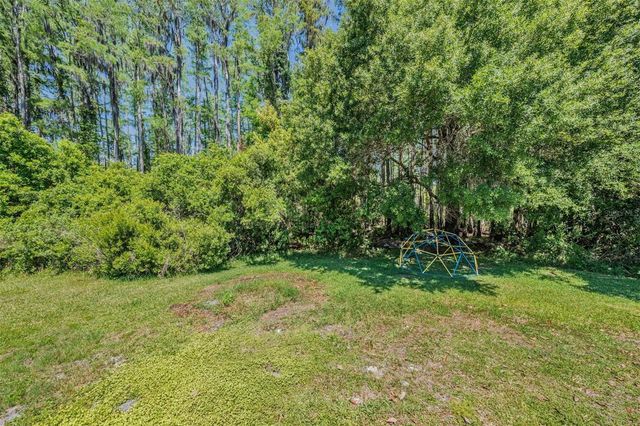 19545 POST ISLAND LOOP, Land O Lakes, FL 34638