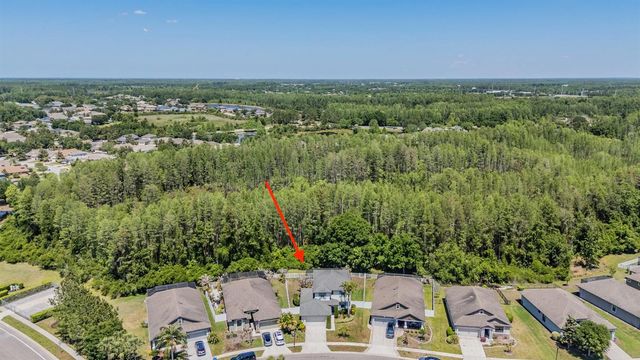 19545 POST ISLAND LOOP, Land O Lakes, FL 34638