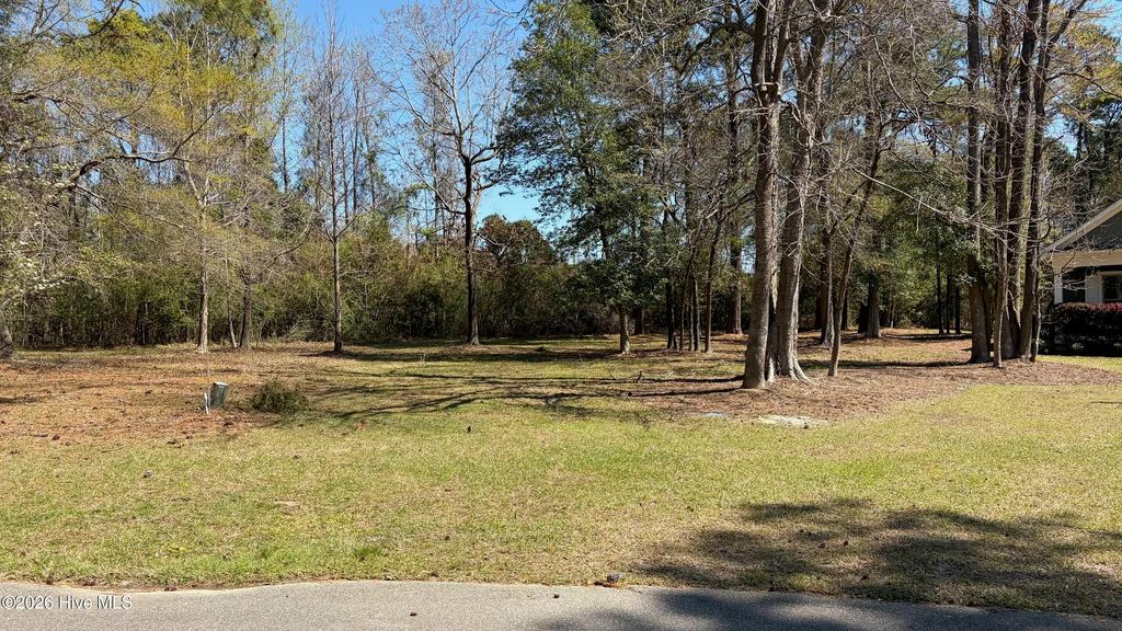 429 Burgee Court, Castle Hayne, NC 28429