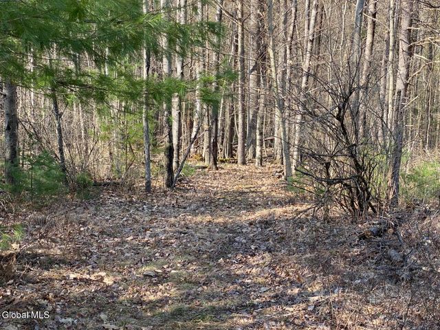 101 Watershed Drive, Lake George, NY 12845