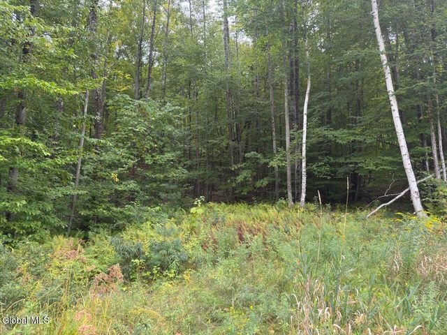 101 Watershed Drive, Lake George, NY 12845