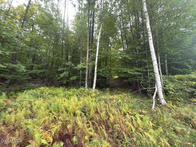 101 Watershed Drive, Lake George, NY 12845